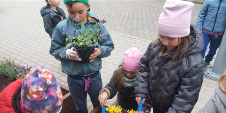 Powiększ grafikę: motyli-ogrod-w-ramach-programu-zielona-edukacja-gdansk-691136.jpg