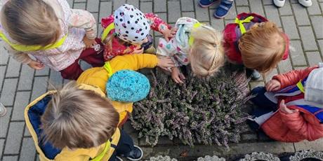Powiększ grafikę: pierwszy-dzien-jesieni-641416.jpg
