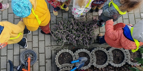 Powiększ grafikę: pierwszy-dzien-jesieni-641418.jpg
