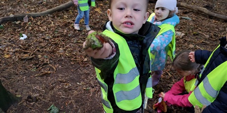 Powiększ grafikę: pierwszy-dzien-jesieni-643302.jpg