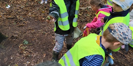 Powiększ grafikę: pierwszy-dzien-jesieni-643304.jpg