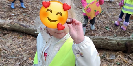 Powiększ grafikę: pierwszy-dzien-jesieni-643307.jpg