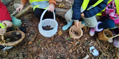 Powiększ grafikę: pierwszy-dzien-jesieni-643308.jpg