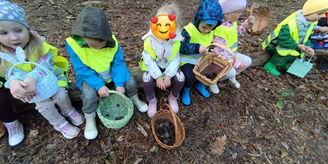 Powiększ grafikę: pierwszy-dzien-jesieni-643309.jpg