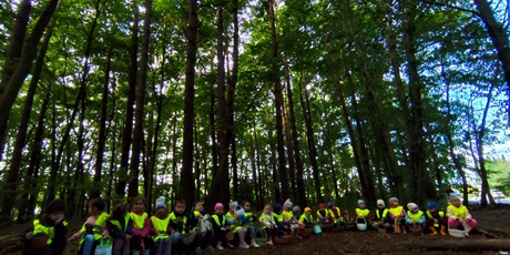 Powiększ grafikę: pierwszy-dzien-jesieni-643310.jpg