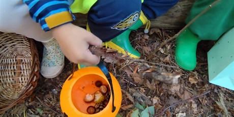 Powiększ grafikę: pierwszy-dzien-jesieni-643311.jpg