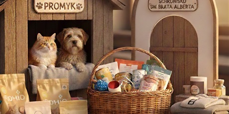 Powiększ grafikę: podsumowanie-akcji-zimowe-pomaganie-673098.jpg