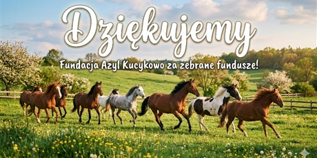 Podsumowanie Kiermaszu wielkanocnego