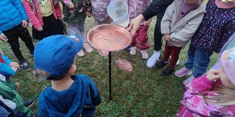 Poidełko dla ptaków i owadów w ramach Programu Zielona Edukacja