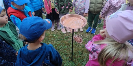 Powiększ grafikę: poidelko-dla-ptakow-i-owadow-w-ramach-programu-zielona-edukacja-692831.jpg
