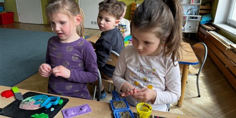 Popołudniowe zabawy