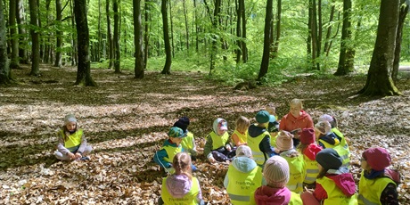 Powiększ grafikę: program-edukacyjny-planeta-energii-drzewa-skarby-przyrody-innowacja-czas-na-las-614140.jpg