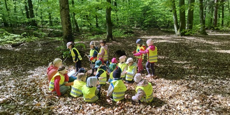 Powiększ grafikę: program-edukacyjny-planeta-energii-drzewa-skarby-przyrody-innowacja-czas-na-las-614141.jpg