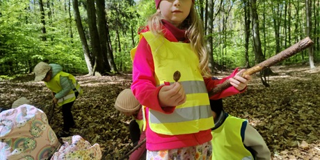 Powiększ grafikę: program-edukacyjny-planeta-energii-drzewa-skarby-przyrody-innowacja-czas-na-las-614144.jpg