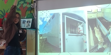 Powiększ grafikę: spotkanie-z-emilia-wolontariuszka-z-fundacji-kucykowo-683815.jpg