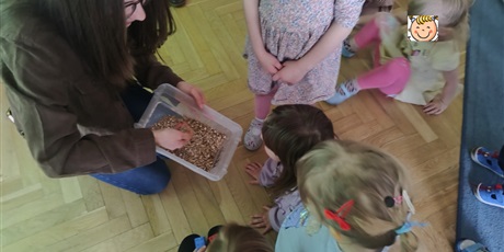 Powiększ grafikę: spotkanie-z-emilia-wolontariuszka-z-fundacji-kucykowo-683827.jpg