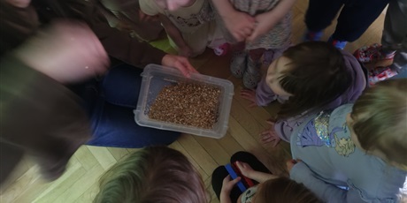 Powiększ grafikę: spotkanie-z-emilia-wolontariuszka-z-fundacji-kucykowo-683828.jpg