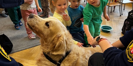 Powiększ grafikę: spotkanie-ze-straza-miejska-656898.jpg