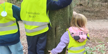 Powiększ grafikę: tajemnice-jesiennego-lasu-713338.jpg