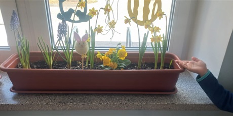 Powiększ grafikę: wielkanocne-przygotowania-685988.jpg