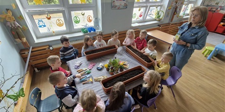 Wiosenne sadzonki
