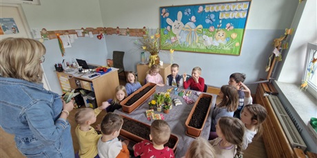 Powiększ grafikę: wiosenne-sadzonki-682909.jpg