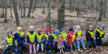 Powiększ grafikę: wiosno-gdzie-jestes-szukamy-pierwszych-zwiastunow-682945.jpg