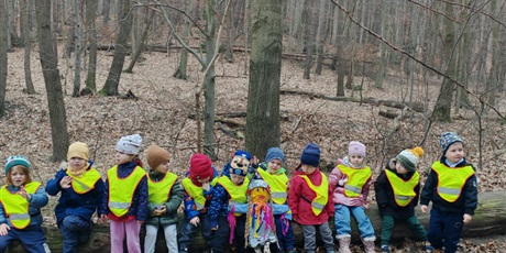 Powiększ grafikę: wiosno-gdzie-jestes-szukamy-pierwszych-zwiastunow-682946.jpg