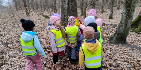 Powiększ grafikę: wiosno-gdzie-jestes-szukamy-pierwszych-zwiastunow-682947.jpg