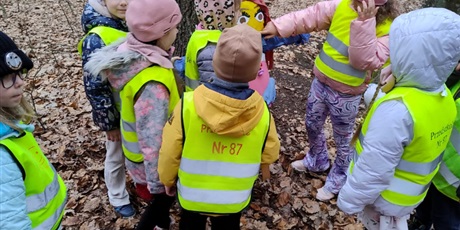 Powiększ grafikę: wiosno-gdzie-jestes-szukamy-pierwszych-zwiastunow-682949.jpg