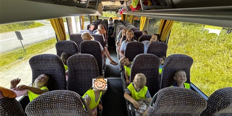 Powiększ grafikę: wycieczka-na-farme-strusi-w-kniewie-699098.jpg