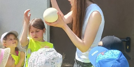 Powiększ grafikę: wycieczka-na-farme-strusi-w-kniewie-699137.jpg