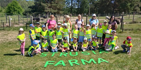 Wycieczka na farmę strusi w Kniewie