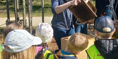 Powiększ grafikę: xi-osowski-eko-festyn-689339.jpg