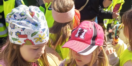 Powiększ grafikę: xi-osowski-eko-festyn-689369.jpg