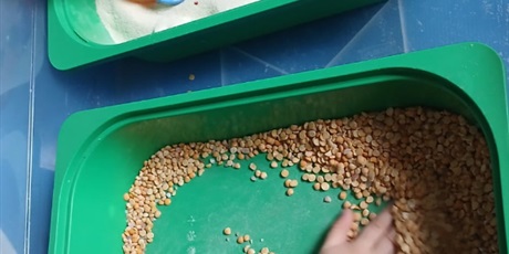 Powiększ grafikę: zajecia-z-pedagogiem-690449.jpg