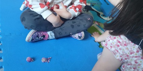 Powiększ grafikę: zajecia-z-pedagogiem-rewalidacja-terapia-pedagogiczna-i-program-sensoryczna-zabawa-zmysly-udoskonala-620877.jpg