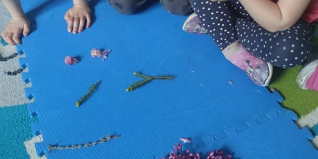 Powiększ grafikę: zajecia-z-pedagogiem-rewalidacja-terapia-pedagogiczna-i-program-sensoryczna-zabawa-zmysly-udoskonala-620879.jpg