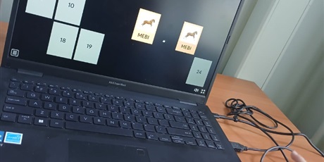 Zajęcia z pedagogiem - rewalidacja, terapia pedagogiczna i program "Sensoryczna zabawa zmysły udoskonala"