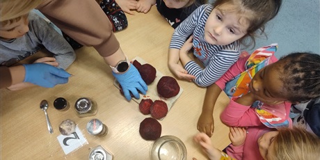 Powiększ grafikę: zakwas-z-burakow-program-zielonej-edukacji-hevelianum-662855.jpg