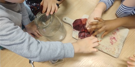 Zakwas z buraków - Program Zielonej Edukacji - Hevelianum