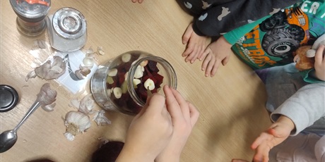 Powiększ grafikę: zakwas-z-burakow-program-zielonej-edukacji-hevelianum-662860.jpg