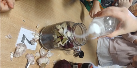 Powiększ grafikę: zakwas-z-burakow-program-zielonej-edukacji-hevelianum-662861.jpg