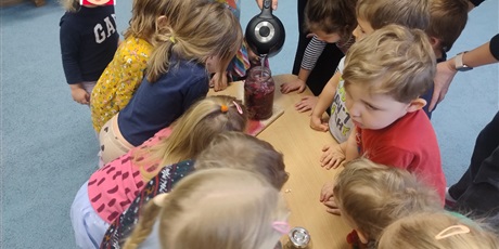 Powiększ grafikę: zakwas-z-burakow-program-zielonej-edukacji-hevelianum-662863.jpg