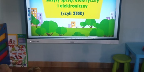 Zużyte sprzęty elektryczne i elektroniczne