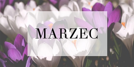 Powiększ grafikę: Osowiaczek marzec